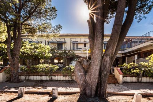 Hotel Oasis Argeles-sur-Mer Ngoại thất bức ảnh